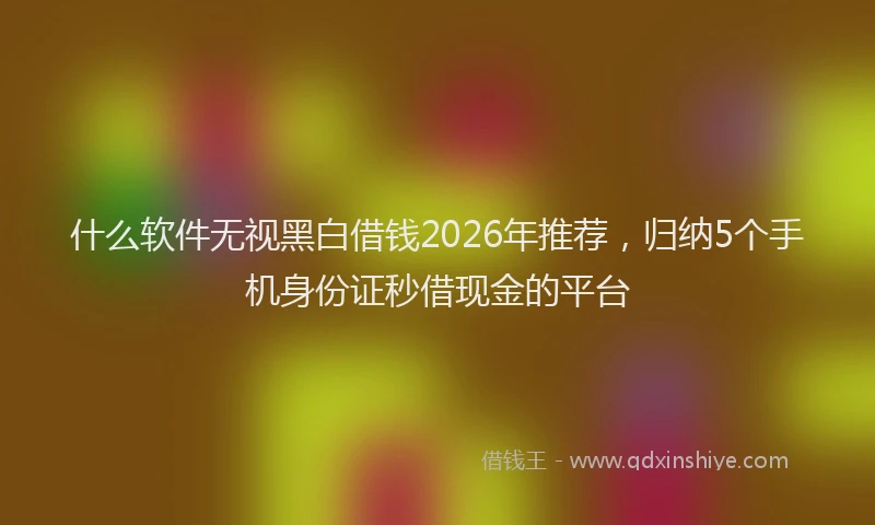 什么软件无视黑白借钱2026年推荐，归纳5个手机身份证秒借现金的平台