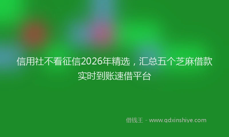 信用社不看征信2026年精选，汇总五个芝麻借款实时到账速借平台