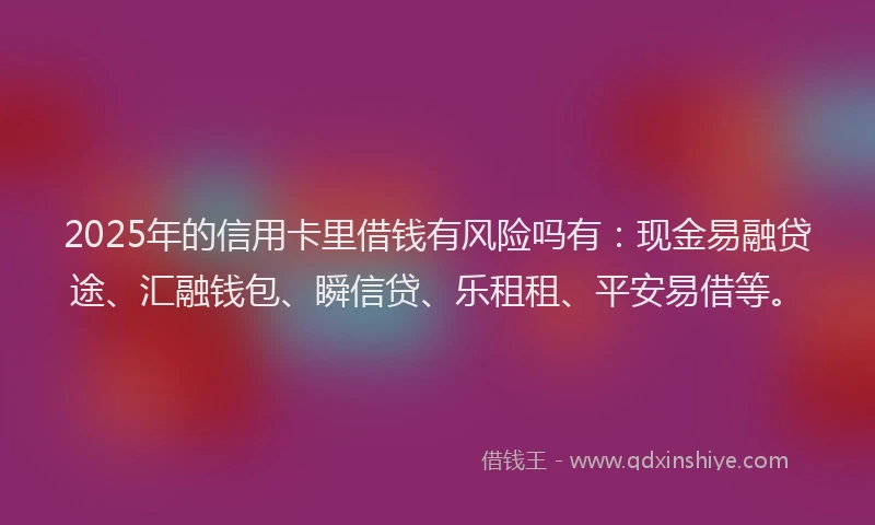 2025年的信用卡里借钱有风险吗有：现金易融贷途、汇融钱包、瞬信贷、乐租租、平安易借等。