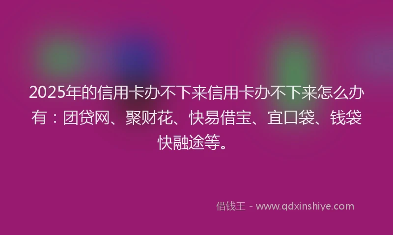2025年的信用卡办不下来信用卡办不下来怎么办有:团贷网、聚财花、快易借宝、宜口袋、钱袋快融途等。