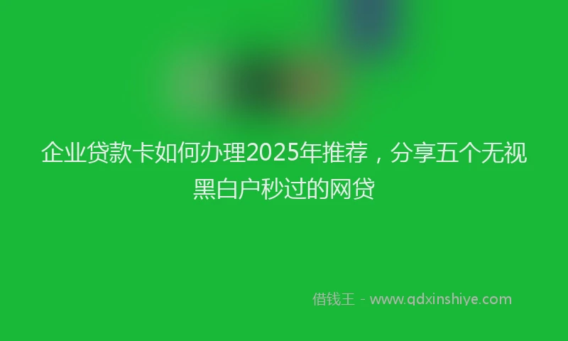 企业贷款卡如何办理2025年推荐，分享五个无视黑白户秒过的网贷