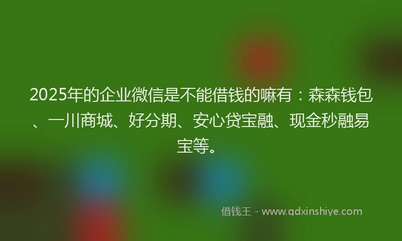 2025年的企业微信是不能借钱的嘛有：森森钱包、一川商城、好分期、安心贷宝融、现金秒融易宝等。
