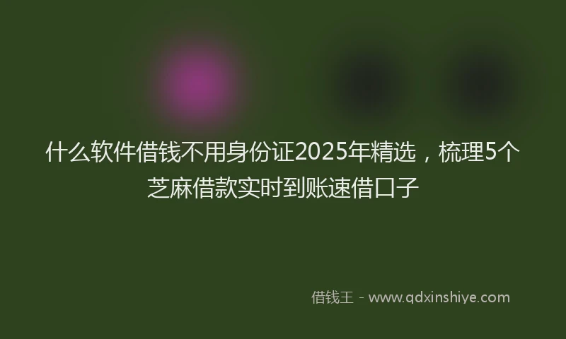 什么软件借钱不用身份证2025年精选，梳理5个芝麻借款实时到账速借口子