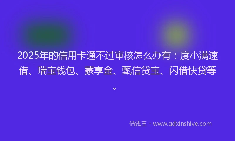 2025年的信用卡通不过审核怎么办有：度小满速借、瑞宝钱包、蒙享金、甄信贷宝、闪借快贷等。