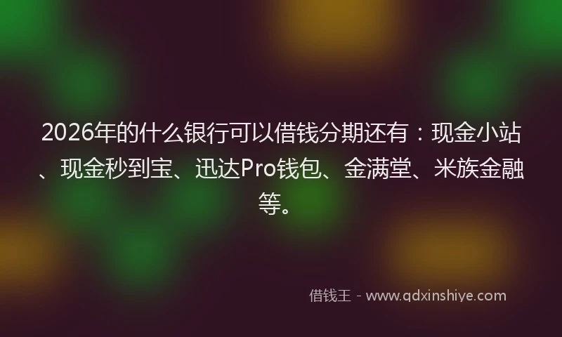 2026年的什么银行可以借钱分期还有：现金小站、现金秒到宝、迅达Pro钱包、金满堂、米族金融等。