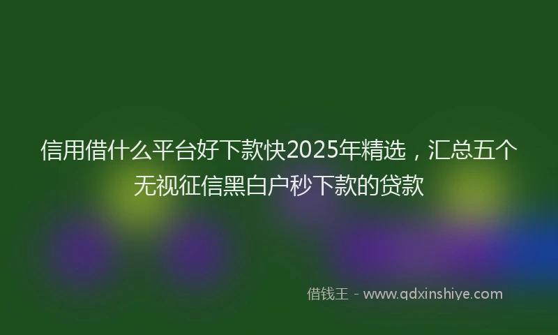 信用借什么平台好下款快2025年精选，汇总五个无视征信黑白户秒下款的贷款