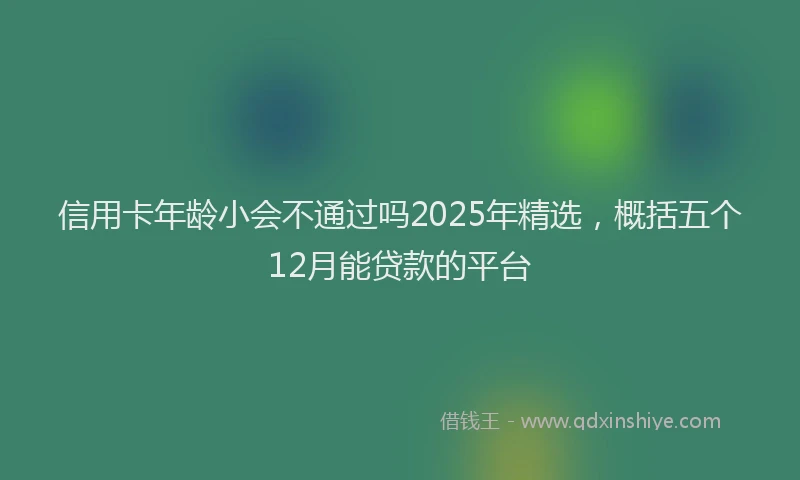 信用卡年龄小会不通过吗2025年精选,概括五个12月能贷款的平台