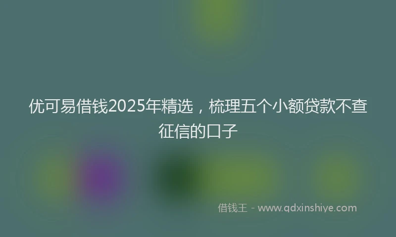 优可易借钱2025年精选，梳理五个小额贷款不查征信的口子