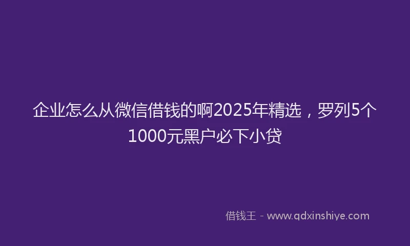 企业怎么从微信借钱的啊2025年精选，罗列5个1000元黑户必下小贷
