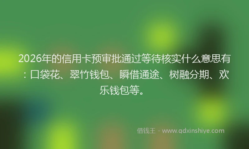 2026年的信用卡预审批通过等待核实什么意思有：口袋花、翠竹钱包、瞬借通途、树融分期、欢乐钱包等。