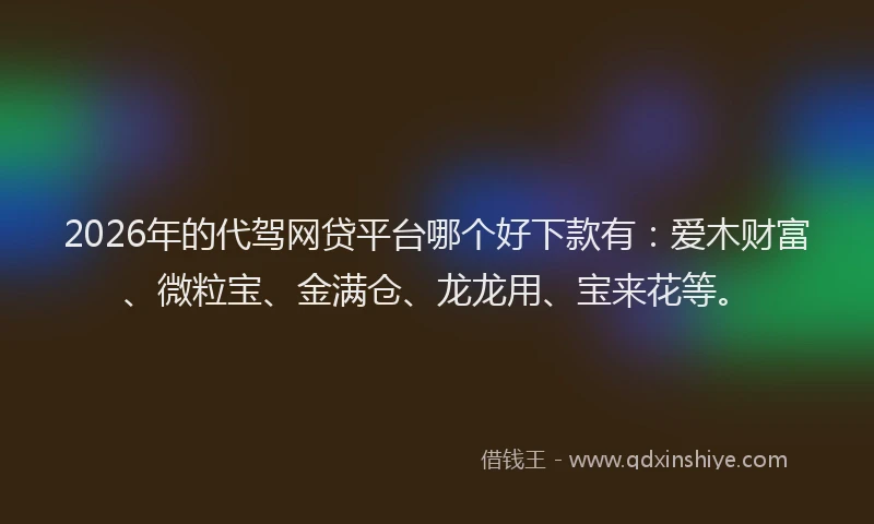 2026年的代驾网贷平台哪个好下款有:爱木财富、微粒宝、金满仓、龙龙用、宝来花等。