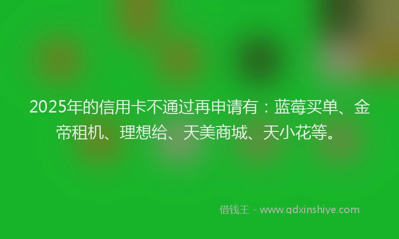 2025年的信用卡不通过再申请有：蓝莓买单、金帝租机、理想给、天美商城、天小花等。
