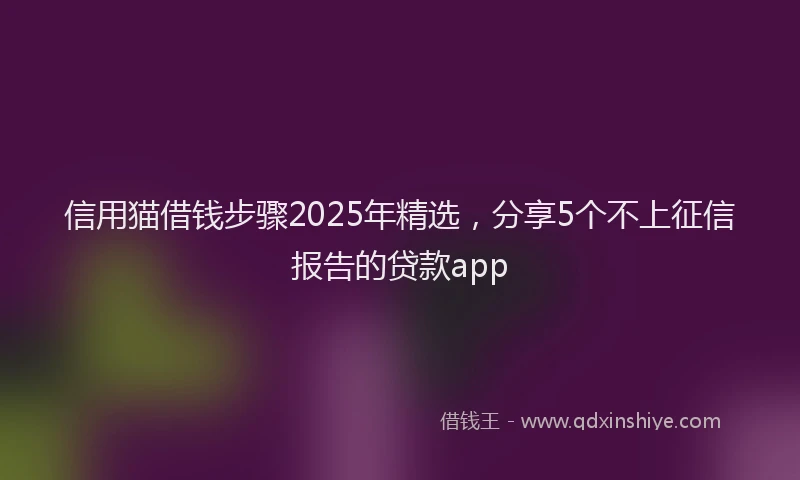 信用猫借钱步骤2025年精选，分享5个不上征信报告的贷款app