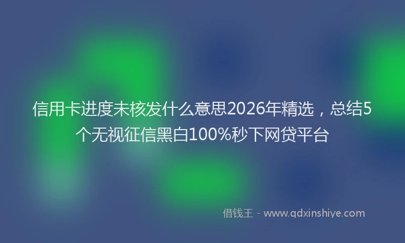 信用卡进度未核发什么意思2026年精选，总结5个无视征信黑白100%秒下网贷平台