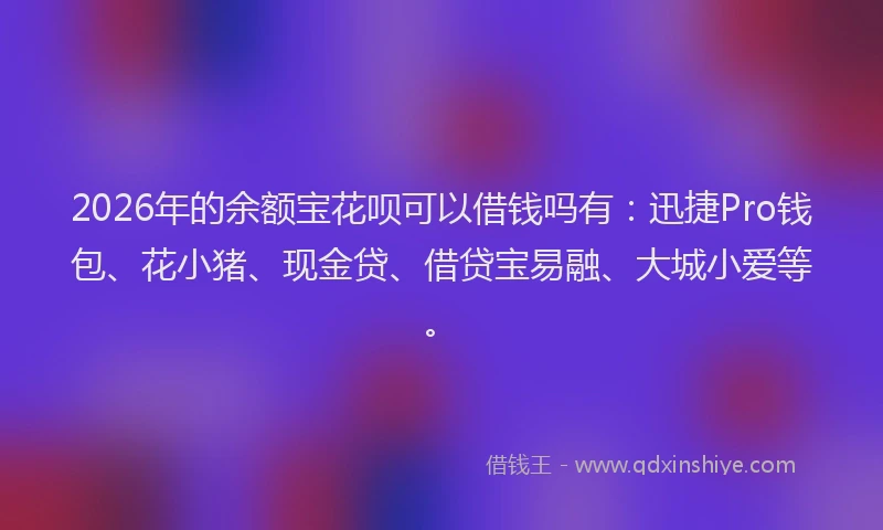 2026年的余额宝花呗可以借钱吗有:迅捷Pro钱包、花小猪、现金贷、借贷宝易融、大城小爱等。