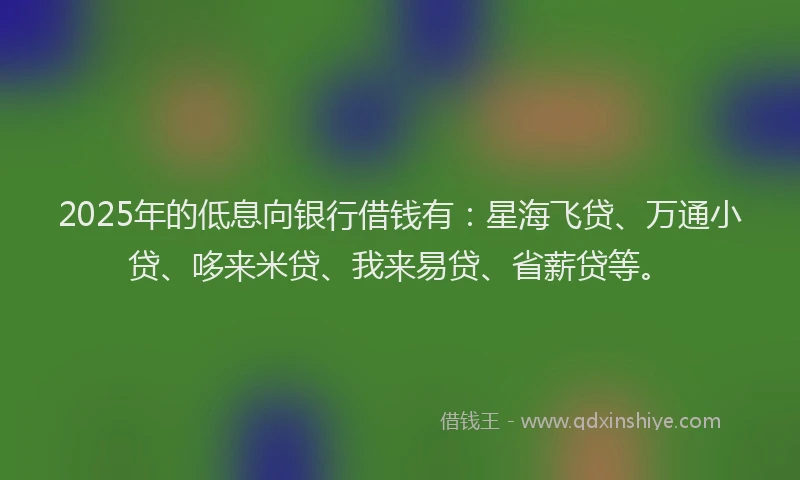 2025年的低息向银行借钱有：星海飞贷、万通小贷、哆来米贷、我来易贷、省薪贷等。