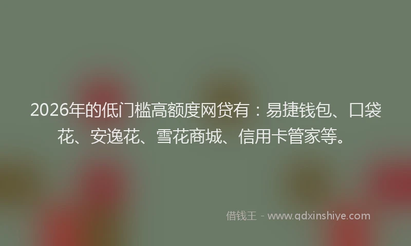 2026年的低门槛高额度网贷有:易捷钱包、口袋花、安逸花、雪花商城、信用卡管家等。
