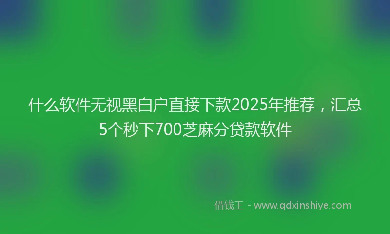 什么软件无视黑白户直接下款2025年推荐，汇总5个秒下700芝麻分贷款软件