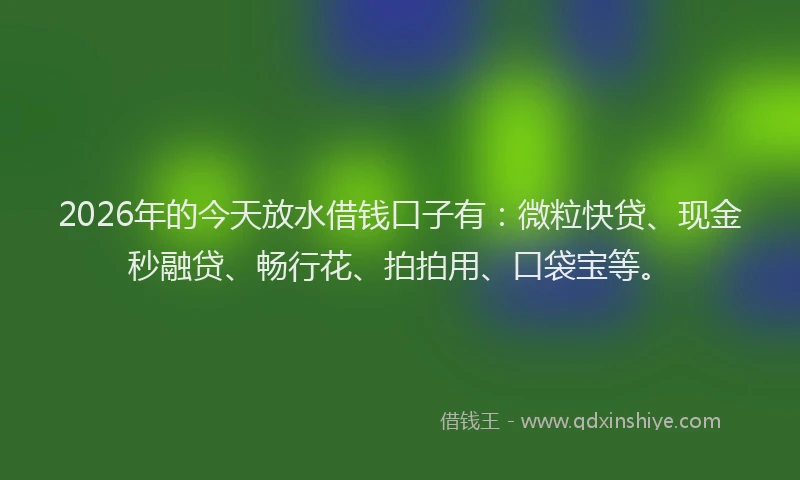 2026年的今天放水借钱口子有：微粒快贷、现金秒融贷、畅行花、拍拍用、口袋宝等。