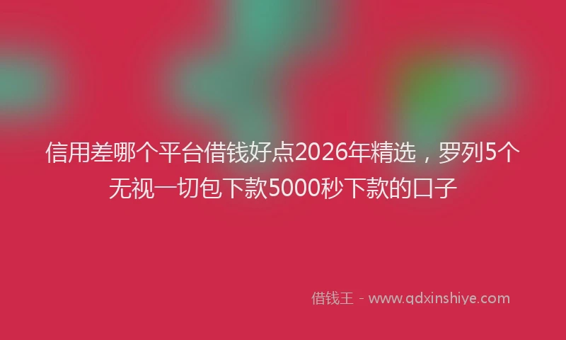 信用差哪个平台借钱好点2026年精选，罗列5个无视一切包下款5000秒下款的口子