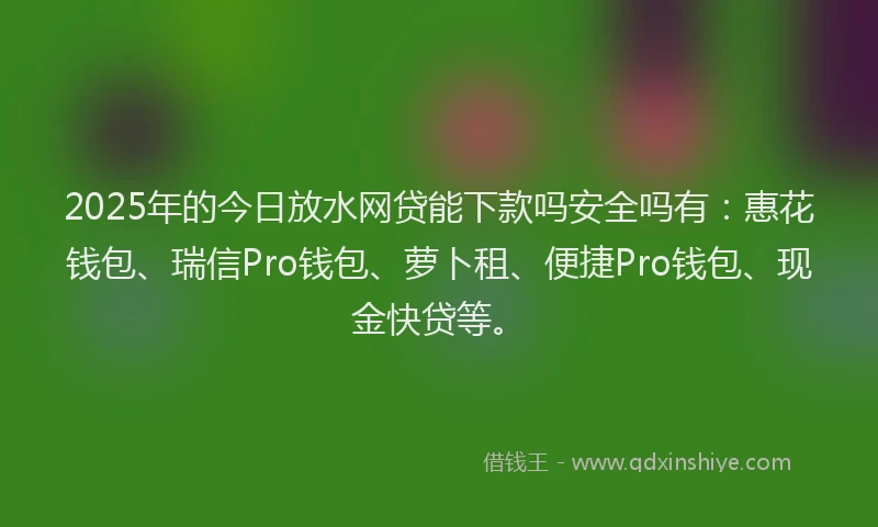 2025年的今日放水网贷能下款吗安全吗有：惠花钱包、瑞信Pro钱包、萝卜租、便捷Pro钱包、现金快贷等。