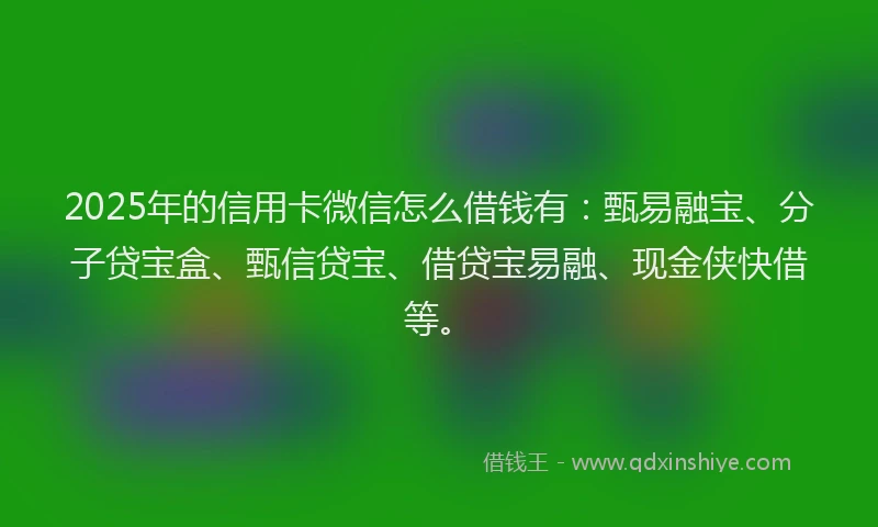 2025年的信用卡微信怎么借钱有:甄易融宝、分子贷宝盒、甄信贷宝、借贷宝易融、现金侠快借等。