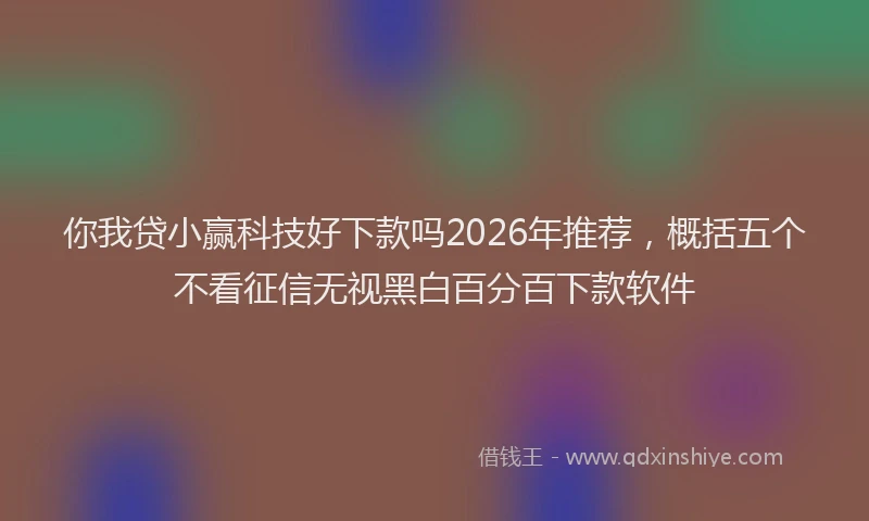 你我贷小赢科技好下款吗2026年推荐，概括五个不看征信无视黑白百分百下款软件