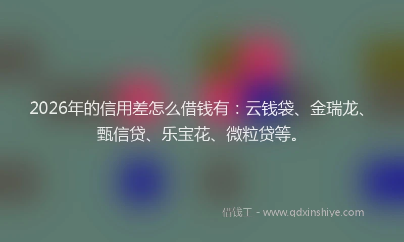2026年的信用差怎么借钱有:云钱袋、金瑞龙、甄信贷、乐宝花、微粒贷等。