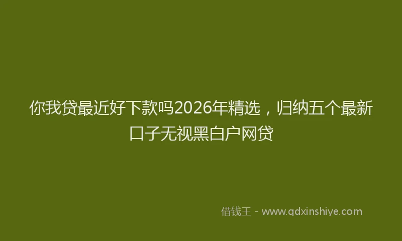 你我贷最近好下款吗2026年精选，归纳五个最新口子无视黑白户网贷