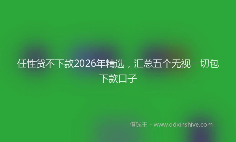 任性贷不下款2026年精选,汇总五个无视一切包下款口子