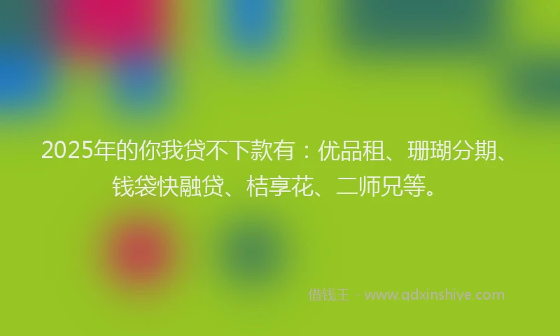 2025年的你我贷不下款有：优品租、珊瑚分期、钱袋快融贷、桔享花、二师兄等。