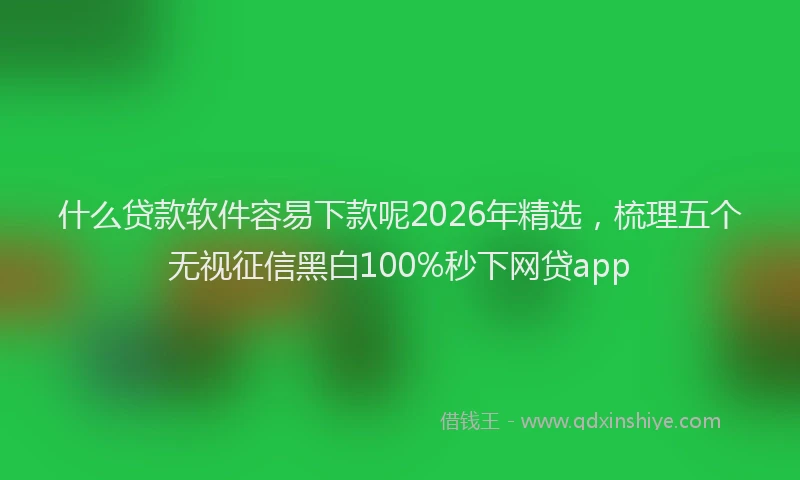 什么贷款软件容易下款呢2026年精选，梳理五个无视征信黑白100%秒下网贷app