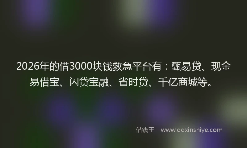 2026年的借3000块钱救急平台有：甄易贷、现金易借宝、闪贷宝融、省时贷、千亿商城等。