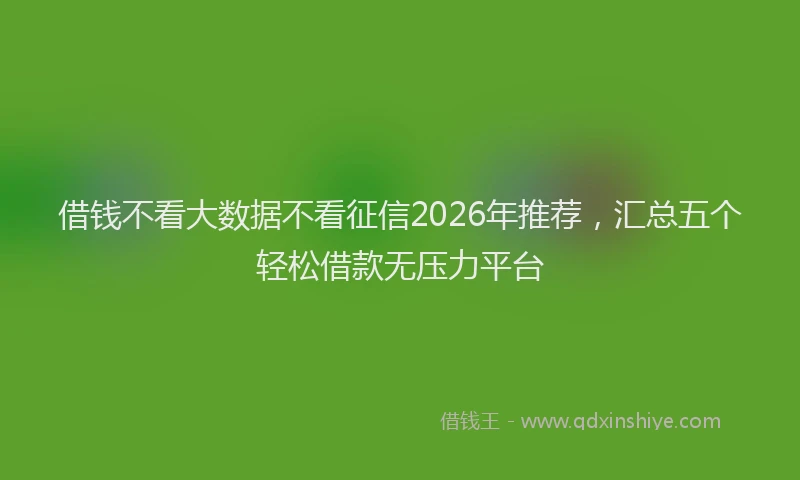 借钱不看大数据不看征信2026年推荐，汇总五个轻松借款无压力平台