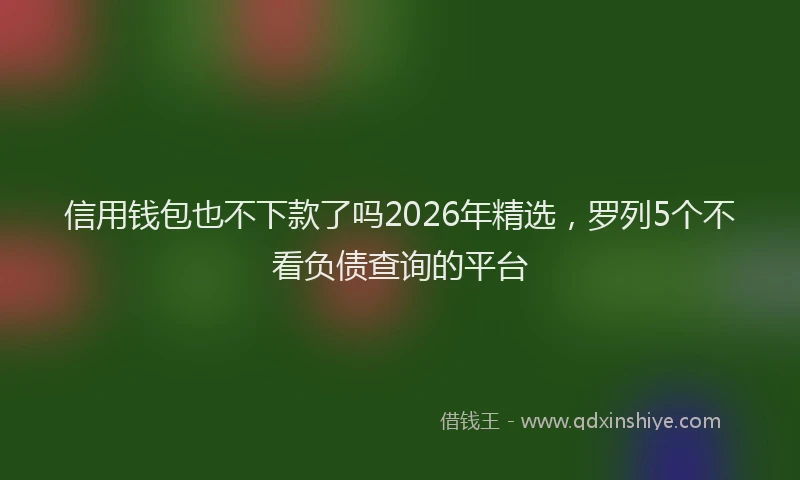 信用钱包也不下款了吗2026年精选，罗列5个不看负债查询的平台