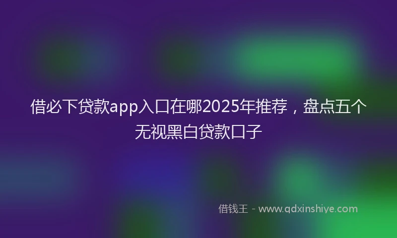 借必下贷款app入口在哪2025年推荐，盘点五个无视黑白贷款口子
