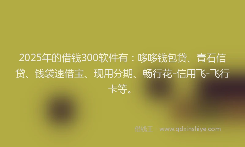 2025年的借钱300软件有：哆哆钱包贷、青石信贷、钱袋速借宝、现用分期、畅行花-信用飞-飞行卡等。