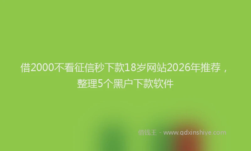 借2000不看征信秒下款18岁网站2026年推荐,整理5个黑户下款软件