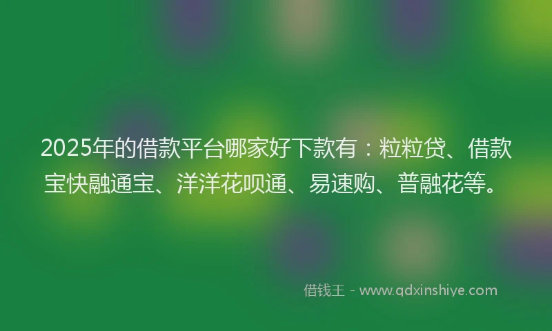 2025年的借款平台哪家好下款有：粒粒贷、借款宝快融通宝、洋洋花呗通、易速购、普融花等。