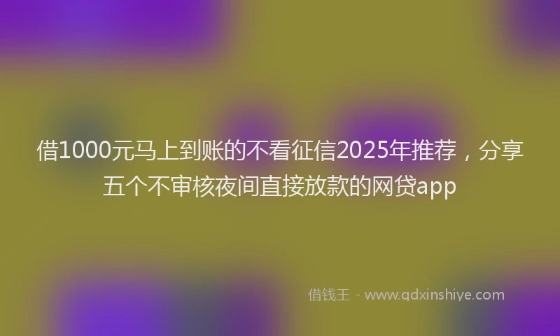 借1000元马上到账的不看征信2025年推荐，分享五个不审核夜间直接放款的网贷app