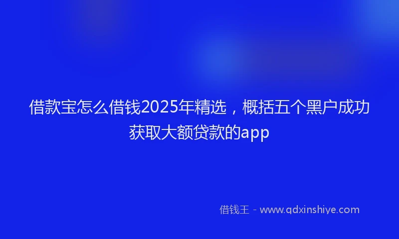 借款宝怎么借钱2025年精选，概括五个黑户成功获取大额贷款的app