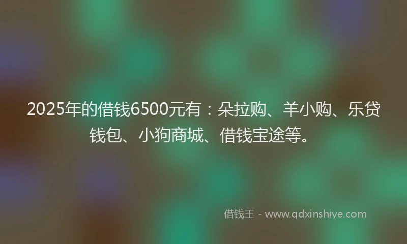 2025年的借钱6500元有:朵拉购、羊小购、乐贷钱包、小狗商城、借钱宝途等。