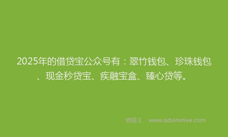 2025年的借贷宝公众号有：翠竹钱包、珍珠钱包、现金秒贷宝、疾融宝盒、臻心贷等。