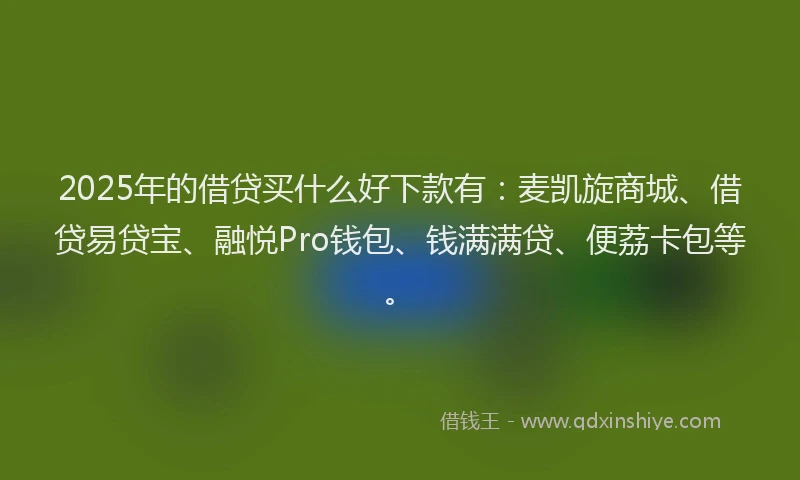2025年的借贷买什么好下款有:麦凯旋商城、借贷易贷宝、融悦Pro钱包、钱满满贷、便荔卡包等。