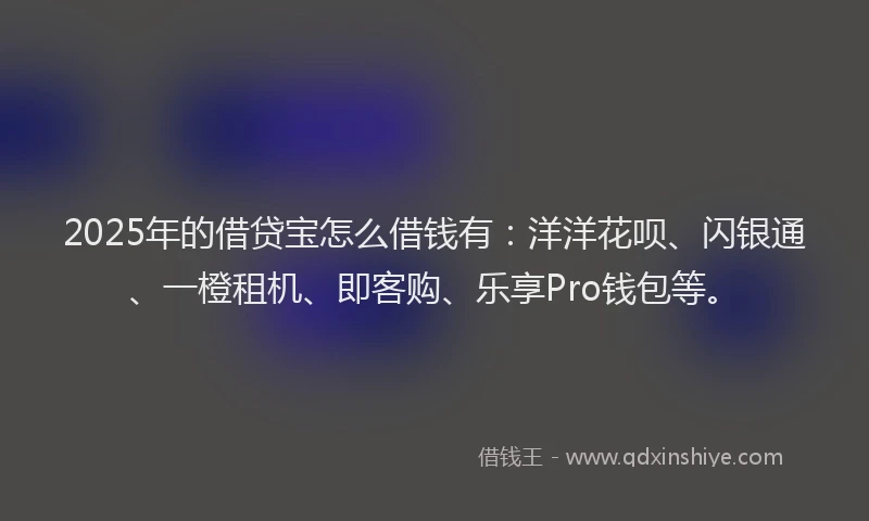 2025年的借贷宝怎么借钱有:洋洋花呗、闪银通、一橙租机、即客购、乐享Pro钱包等。