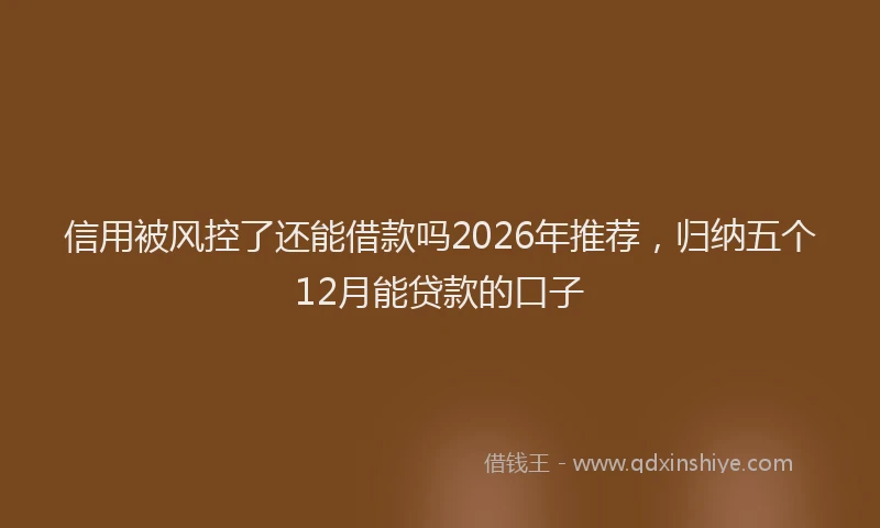 信用被风控了还能借款吗2026年推荐，归纳五个12月能贷款的口子
