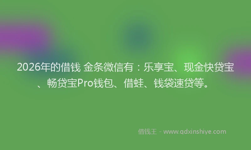 2026年的借钱 金条微信有：乐享宝、现金快贷宝、畅贷宝Pro钱包、借蛙、钱袋速贷等。