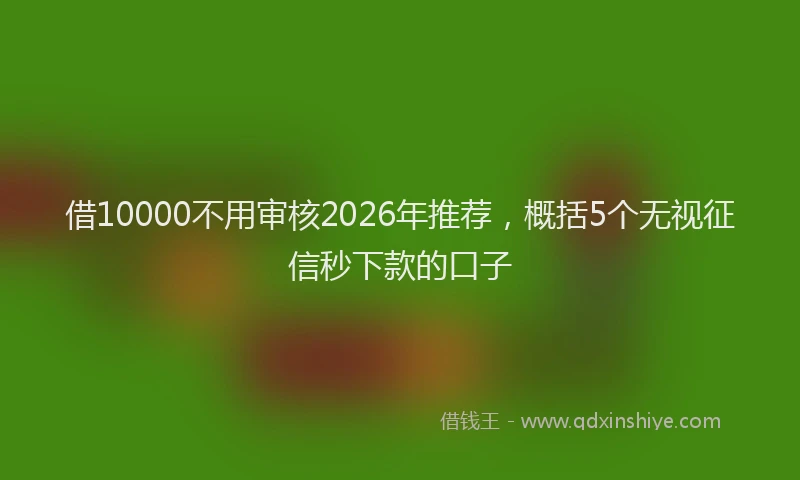借10000不用审核2026年推荐，概括5个无视征信秒下款的口子