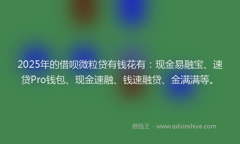 2025年的借呗微粒贷有钱花有:现金易融宝、速贷Pro钱包、现金速融、钱速融贷、金满满等。
