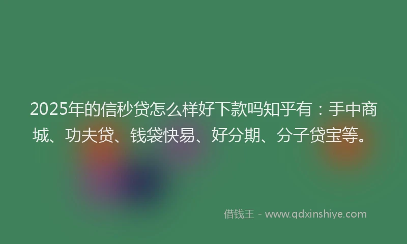2025年的信秒贷怎么样好下款吗知乎有：手中商城、功夫贷、钱袋快易、好分期、分子贷宝等。